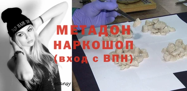 прущие грибы Абинск