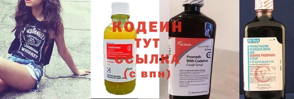 прущие грибы Абинск