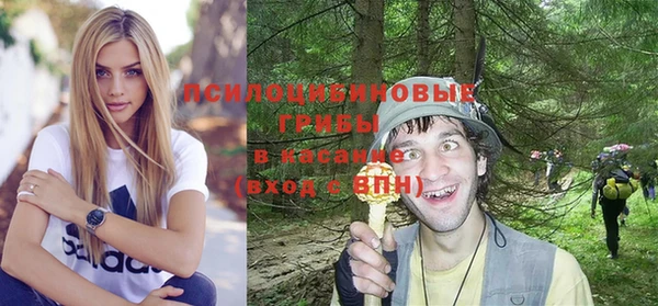 индика Абдулино
