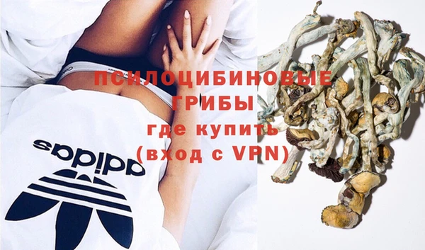 прущие грибы Абинск