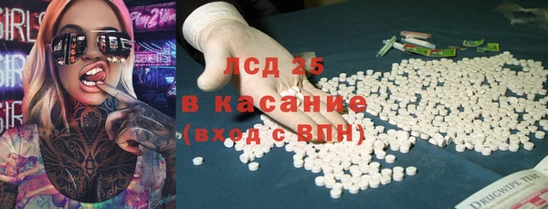 прущие грибы Абинск