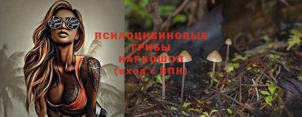 индика Абдулино