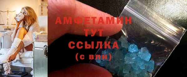 прущие грибы Абинск